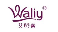 慧妮国际委托正在互联艾丽素品牌日化线大型网站商城建设